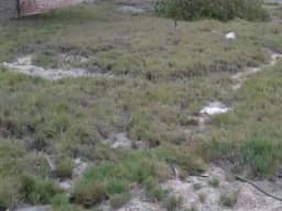 Terreno sin construir