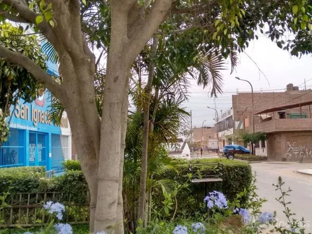 VENDO CASA DE 2 PISOS - EN URB. SANTO DOMINGO - CARABAYLLO — foto 10