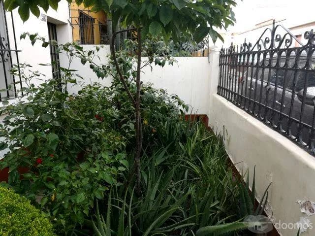 VENDO CASA COMO TERRENO DE 203M2, PUEBLO LIBRE — foto 5