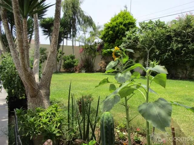 Casa nueva,moderna,segura — foto 7