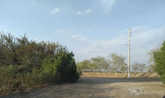 TERRENOS EN VENTA EN LA JOYA 1000 M2 — foto 7
