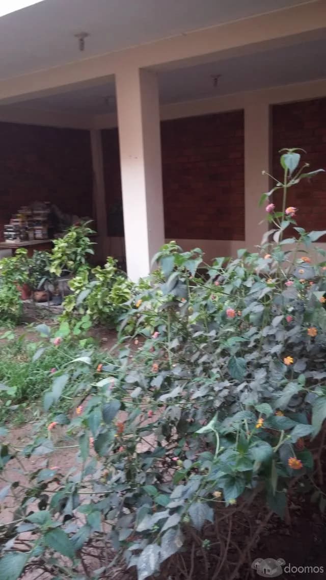 Venta de hermosa casa amplia por ocasion — foto 4