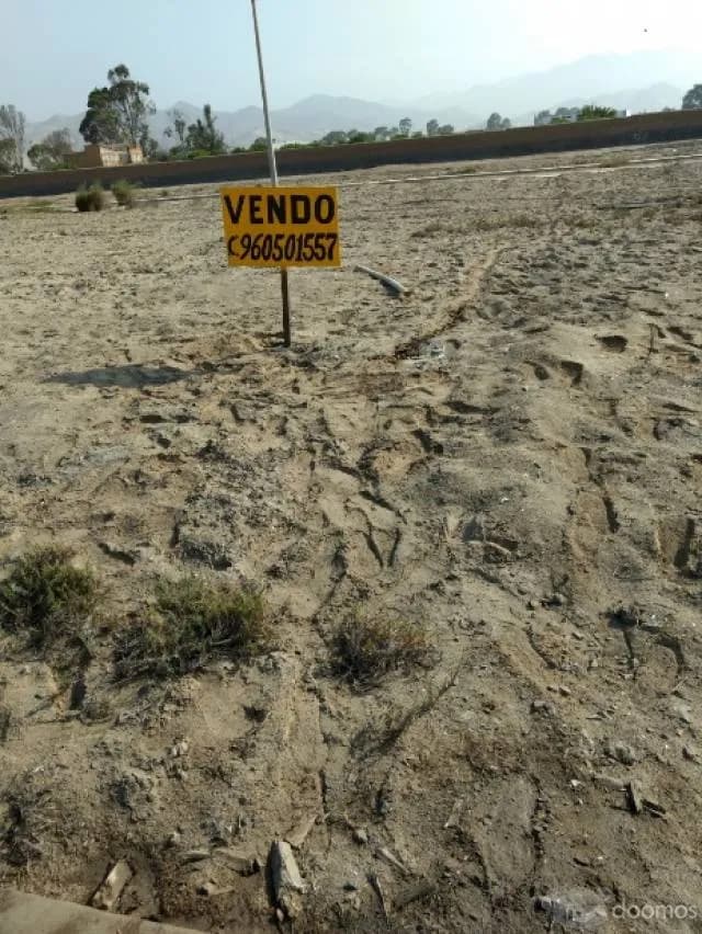NEGOCIABLE VENTA TERRENO EN ASIA LOS PORTALES — foto 3
