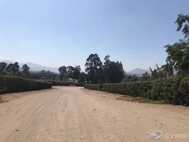 VENDO TERRENO EN PACHACAMAC — foto 5