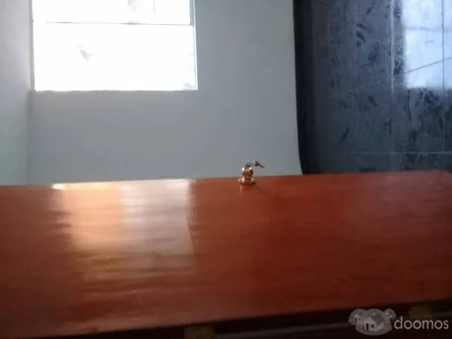 ALQUILO DEPARTAMENTO DE 3 DORMITORIOS CON COCHERA — foto 1