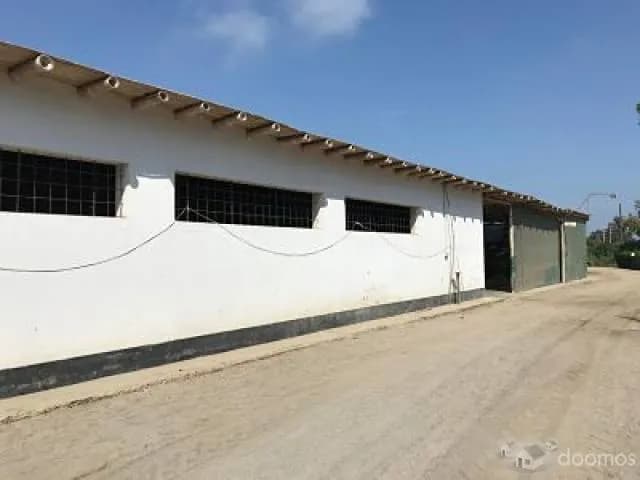 terreno 20.6 ha chincha el carmen — foto 3