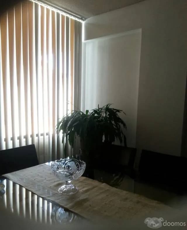 Alquiler de lindo Dpto. Triplex en AVENIDA SAN BORJA SUR — foto 4