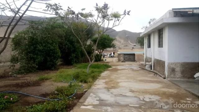 SE VENDE TERRENO EN PAPA LEÓN DE CHILCA!! — foto 2