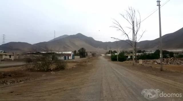 SE VENDE TERRENO EN PAPA LEÓN DE CHILCA!! — foto 6