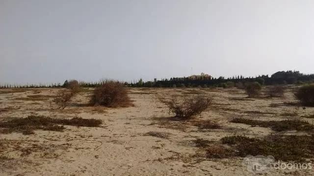 GRAN OPORTUNIDAD - REMATE DE TERRENO EN CAMPIÑA DE MOCHE — foto 1