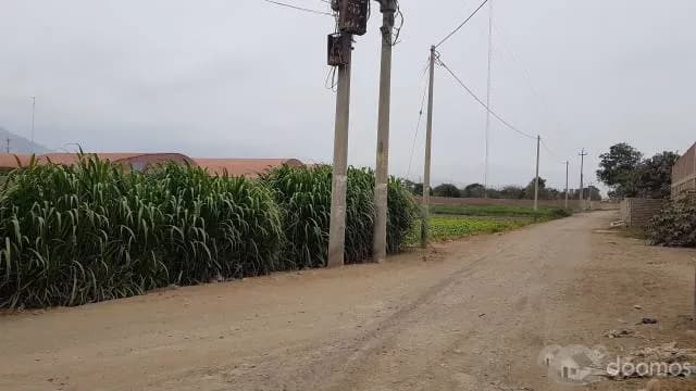 Excelente terreno industrial cerca a terrapuerto trujillo — foto 3