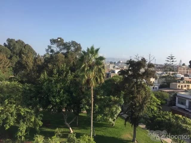 DEPARTAMENTO FRENTE A PARQUE EN SURCO — foto 11
