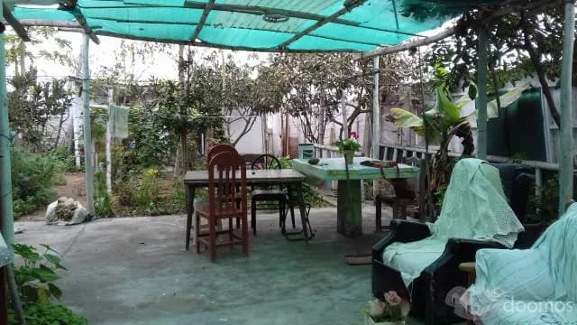 OCASIÓN - Vendo Casita Huerta de 360 M2 en Pachacutec VENTANILLA — foto 2