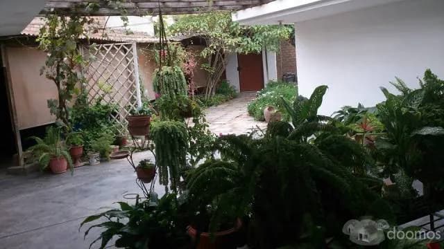 ZONA RESIDENCIAL CASA HUERTO HUACHIPA NORTE — foto 2