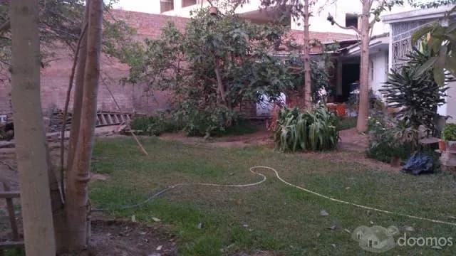 ZONA RESIDENCIAL CASA HUERTO HUACHIPA NORTE — foto 7