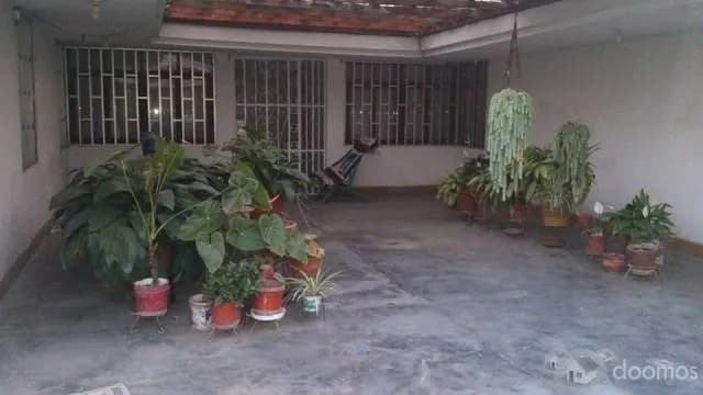 ZONA RESIDENCIAL CASA HUERTO HUACHIPA NORTE — foto 10