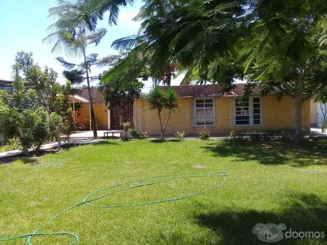 Ocasión Casa de Campo Chiclayo - Monsefu — foto 4