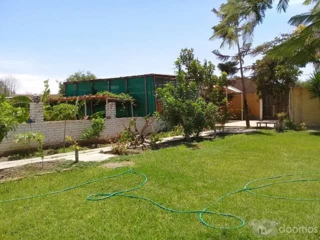 Ocasión Casa de Campo Chiclayo - Monsefu — foto 6