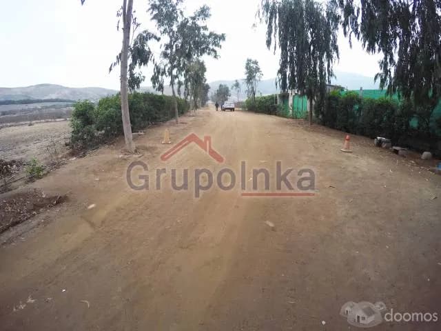 TERRENO ESPECTACULAR PARA CASA DE CAMPO O CRÍA DE CABALLOS — foto 6