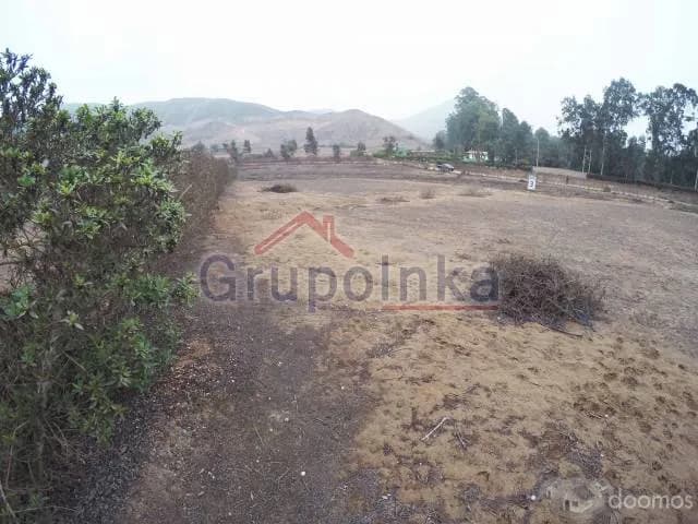 TERRENO ESPECTACULAR PARA CASA DE CAMPO O CRÍA DE CABALLOS — foto 9