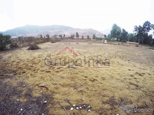 TERRENO ESPECTACULAR PARA CASA DE CAMPO O CRÍA DE CABALLOS — foto 10