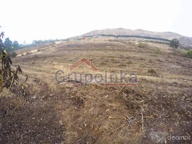 TERRENO ESPECTACULAR PARA CASA DE CAMPO O CRÍA DE CABALLOS — foto 12