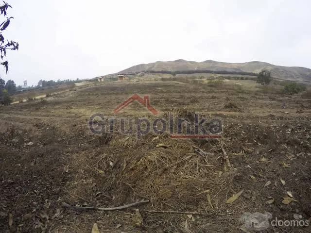 TERRENO ESPECTACULAR PARA CASA DE CAMPO O CRÍA DE CABALLOS — foto 14