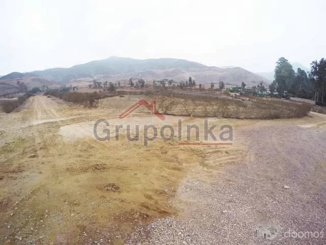 TERRENO ESPECTACULAR PARA CASA DE CAMPO O CRÍA DE CABALLOS — foto 15