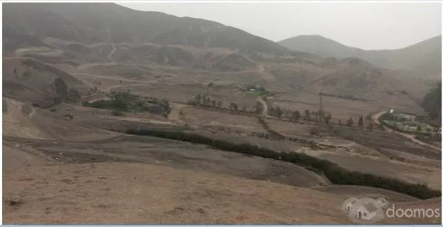 TERRENO EN VENTA EN BUENA VISTA 2 - PARCELA 3 - PACHACAMAC — foto 3