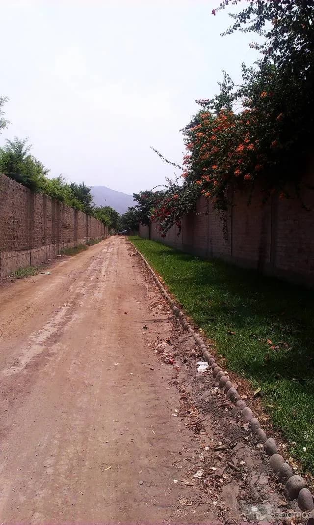 VENDO TERRENO EN PACHACAMAC — foto 3
