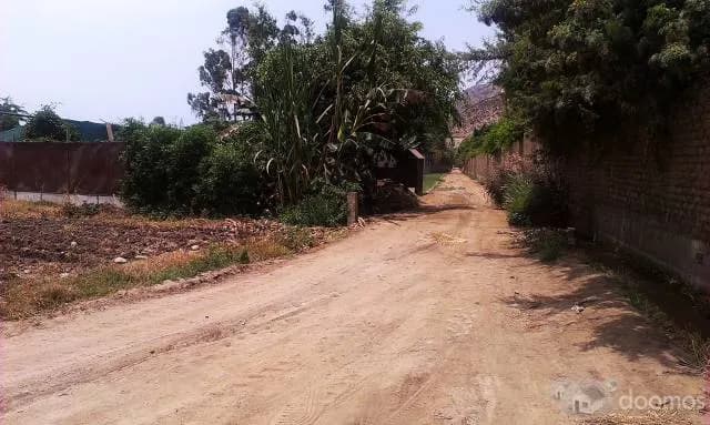 VENDO TERRENO EN PACHACAMAC — foto 4