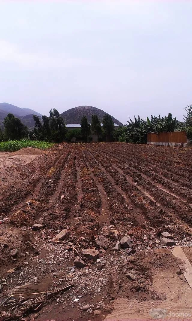 VENDO TERRENO EN PACHACAMAC — foto 5