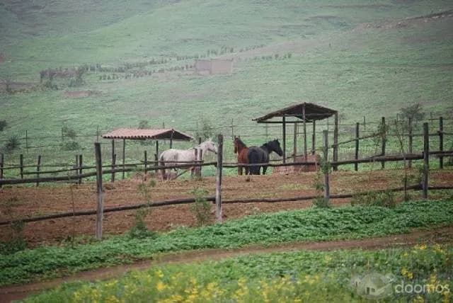TERRENO PACHACAMAC -JATOSISA — foto 2