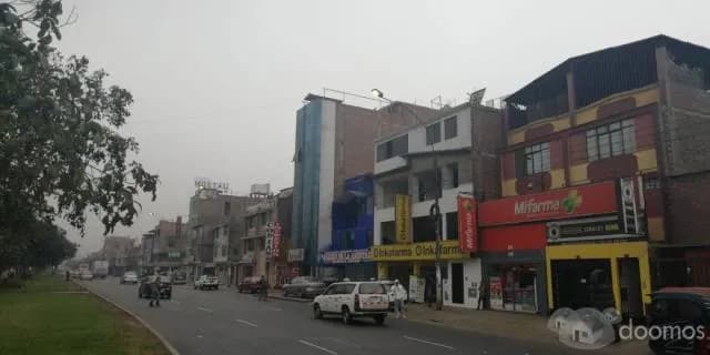 Se Alquilan 12 Oficinas Comerciales, Edificio de excelente ubicación, Avenida Flores de Primavera — foto 4