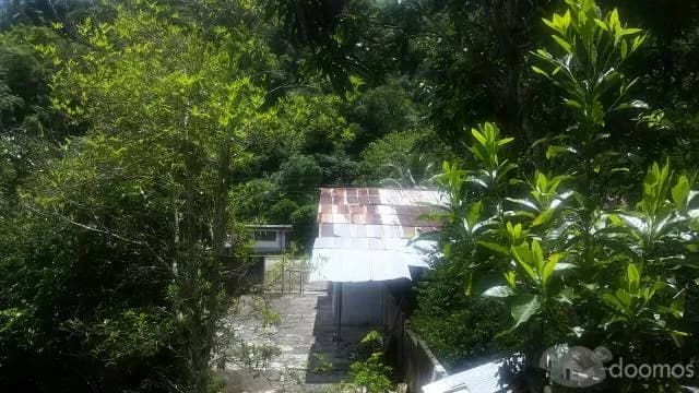 SE REMATA   CASA DE CAMPO EN EL CORAZÓN DE LA SELVA CENTRAL — foto 5