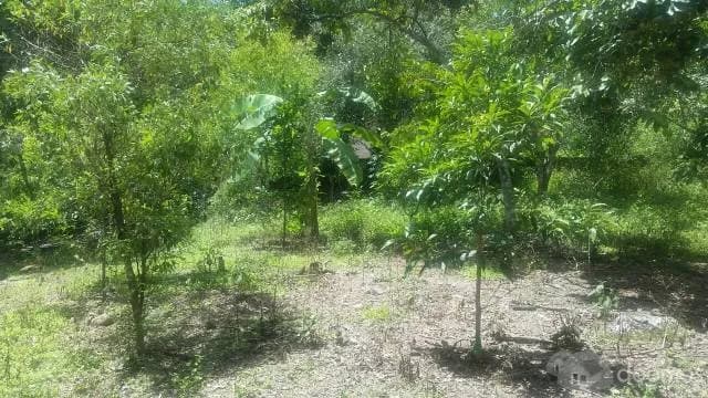 SE REMATA   CASA DE CAMPO EN EL CORAZÓN DE LA SELVA CENTRAL — foto 6