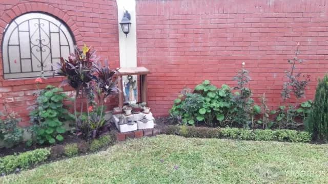 Deseo alquilar cuartos para estudiantes — foto 6