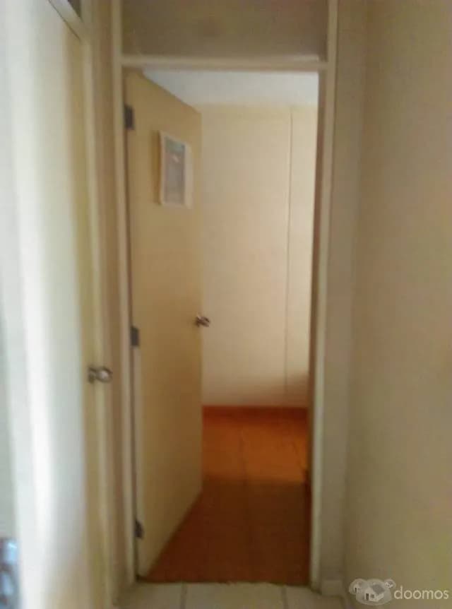 Se Vende Depto 1er Piso Los Olivos Media Cdra. Pan. Norte — foto 5