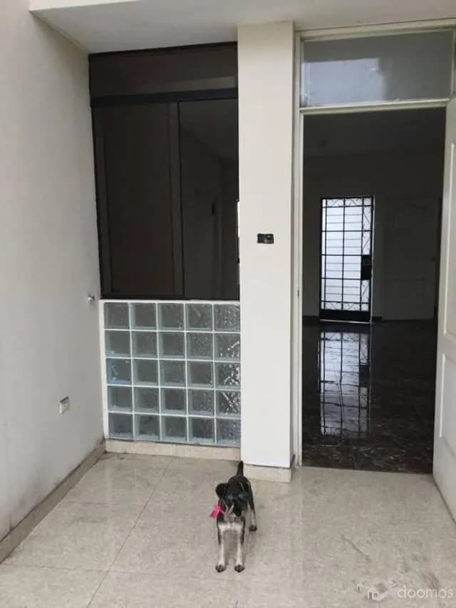 DEPARTAMENTO EN COMAS, VENDO — foto 2