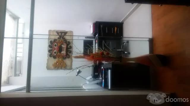 ALQUILO CASA  EN ELGOLF — foto 4