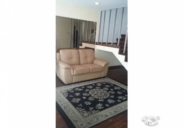 ACOGEDORA AMPLIA CASA CON TERRAZA Y JARDÍN EN MAGDALENA — foto 5