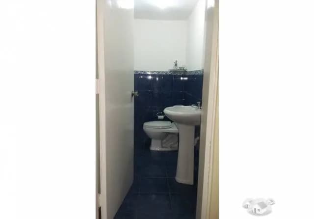ACOGEDORA AMPLIA CASA CON TERRAZA Y JARDÍN EN MAGDALENA — foto 7