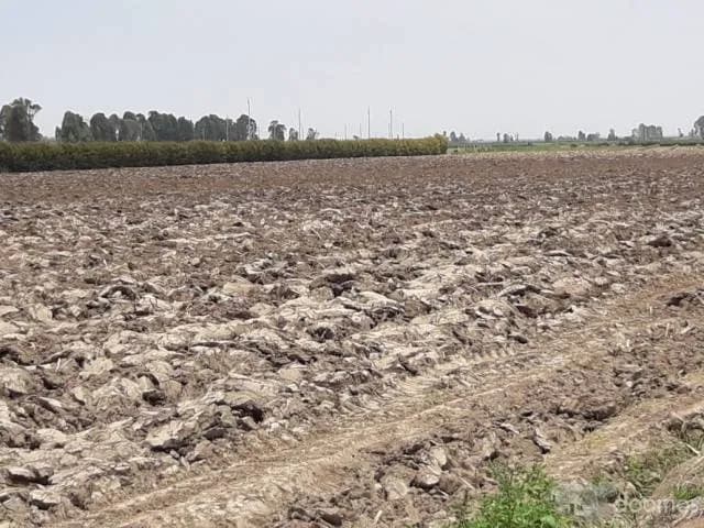 VENTA DE TERRENO 10,000M2 — foto 1