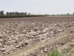 VENTA DE TERRENO 10,000M2