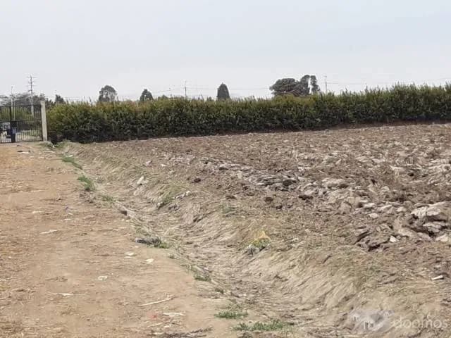 VENTA DE TERRENO 10,000M2 — foto 2