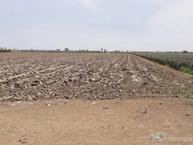 VENTA DE TERRENO 10,000M2 — foto 3