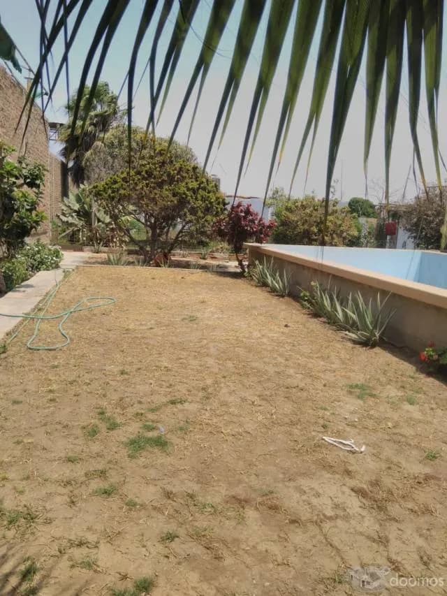 CURVA SUN PRECIOSA PROPIEDAD 1,100M2 CASA+HUERTO+PISCINA — foto 3