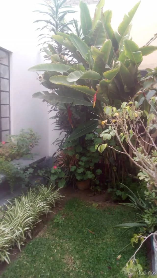 Linda casita en Miraflores — foto 1