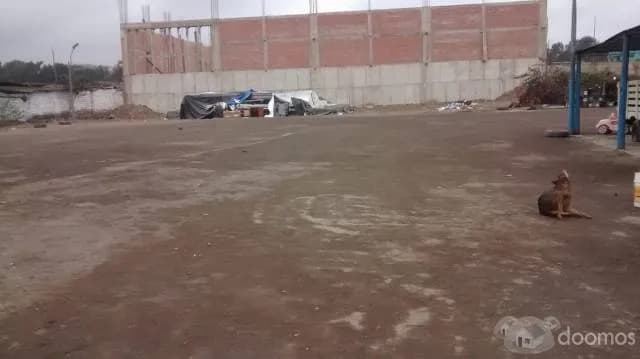 Alquiler Terreno villa el Salvador — foto 3