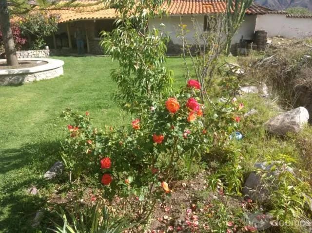 VENDO CASA EN YANAHUARA VALLE SAGRADO — foto 8